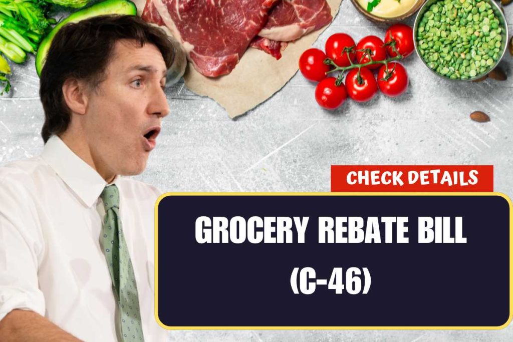 Grocery Rebate Bill
